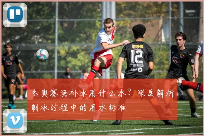冬奥赛场补冰用什么水？深度解析制冰过程中的用水标准