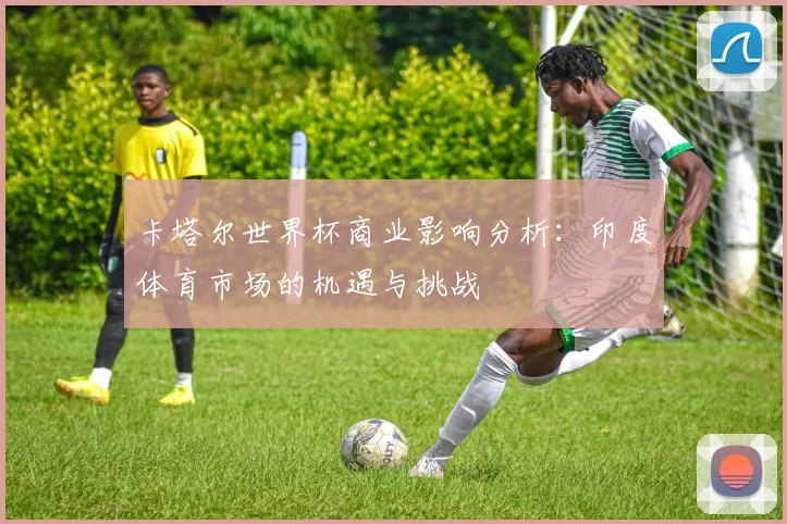 卡塔尔世界杯商业影响分析：印度体育市场的机遇与挑战
