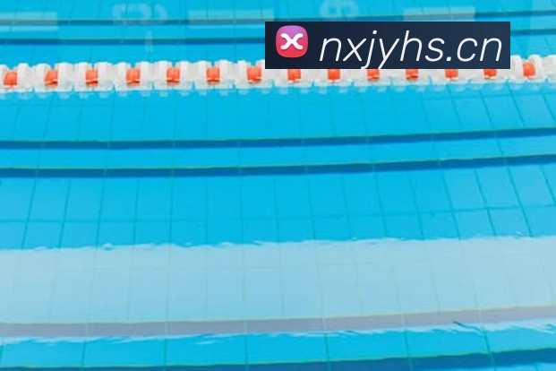 爱游戏体育app官网入口平台生态图