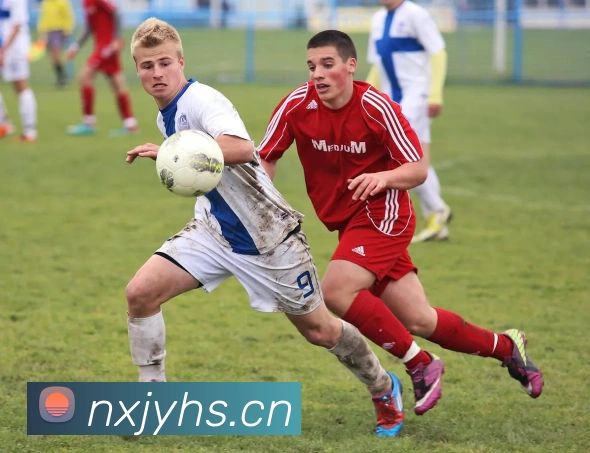 爱游戏体育app官网入口APP 封面图